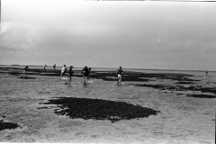 1977-Wadlopen_6